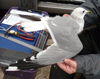 adult Common Gull - canus - in February. (41611 bytes)